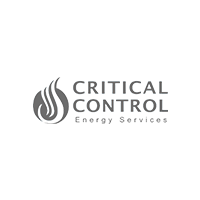 Critical control US logo